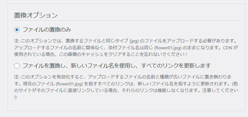 置換オプションを選択する